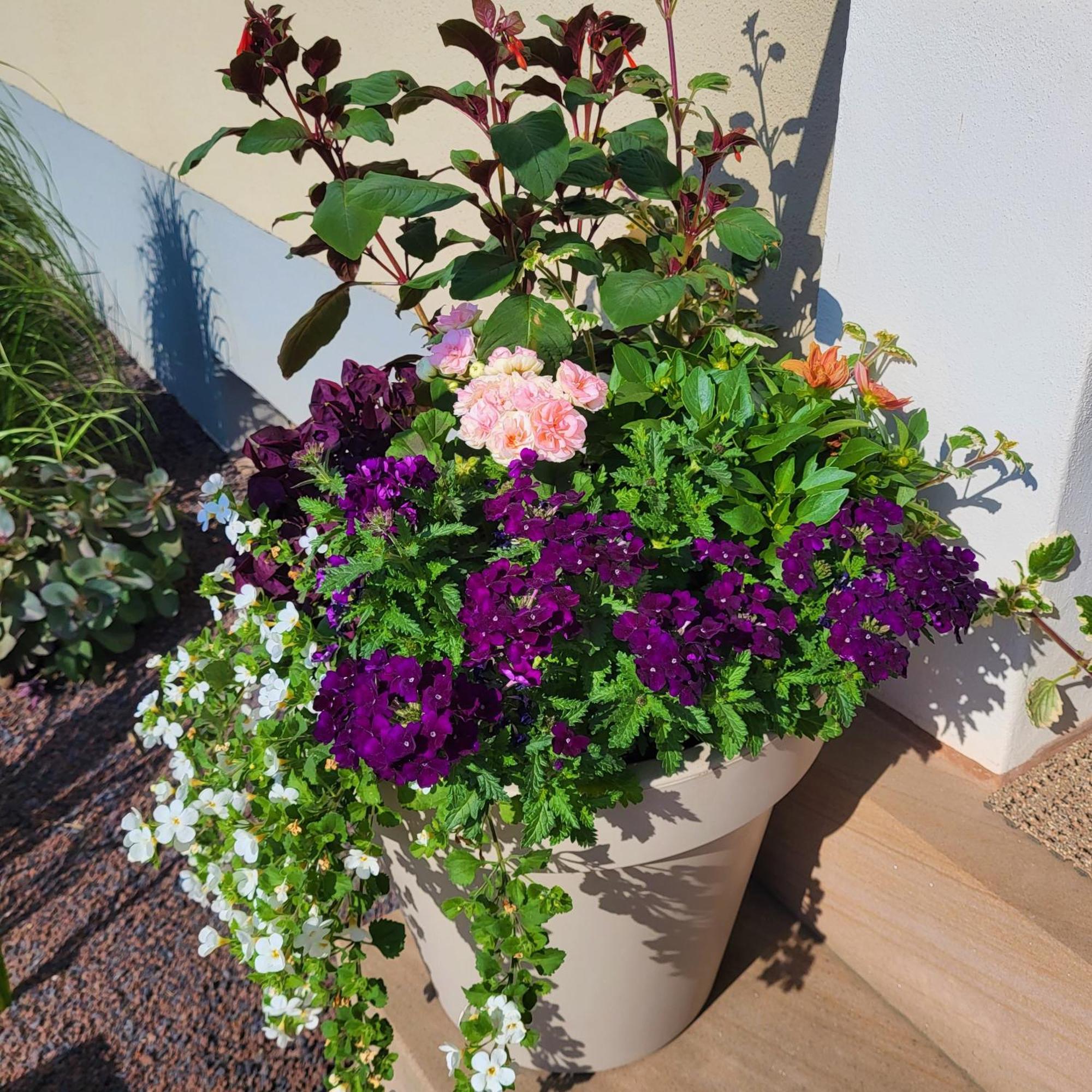 Komfort Ferienwohnungen Mit Wellness-Garten - Gaestehaus Am Bachlauf - Losheim Am See חדר תמונה