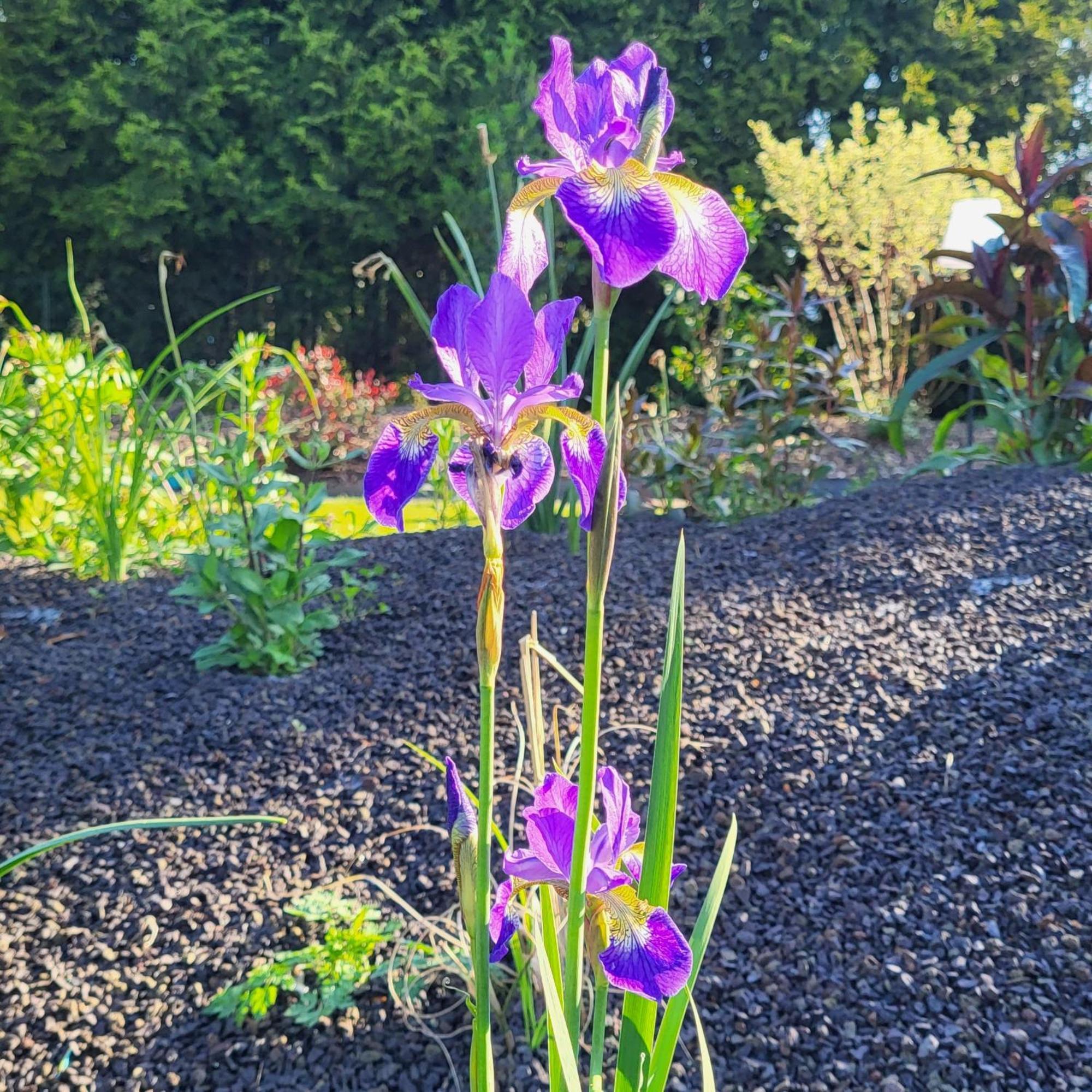 Komfort Ferienwohnungen Mit Wellness-Garten - Gaestehaus Am Bachlauf - Losheim Am See חדר תמונה