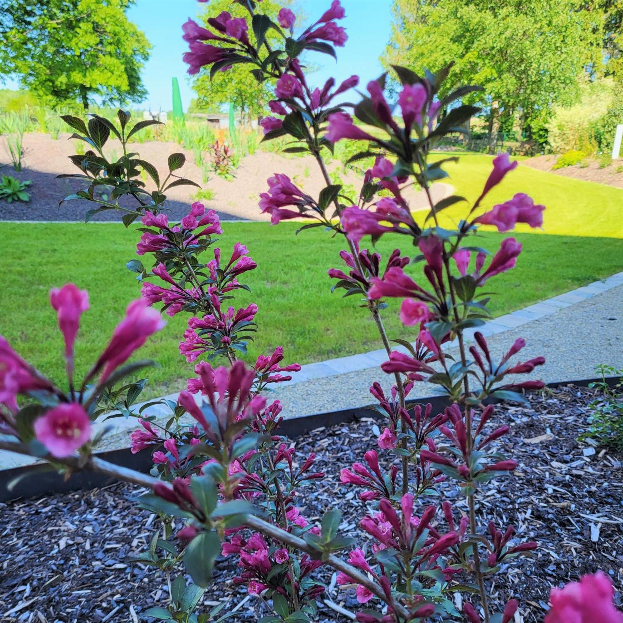 Komfort Ferienwohnungen Mit Wellness-Garten - Gaestehaus Am Bachlauf - Losheim Am See חדר תמונה